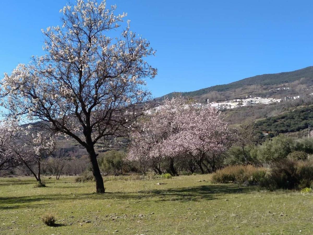 Castano Real Villa Atalbeitar Eksteriør billede
